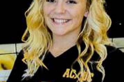 Article Image Alt Text