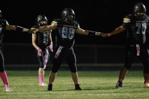 Article Image Alt Text