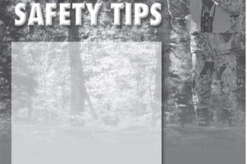 Article Image Alt Text