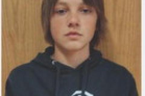 Article Image Alt Text