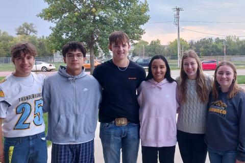 Article Image Alt Text