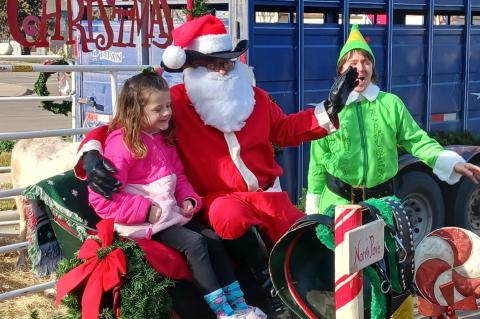 Article Image Alt Text