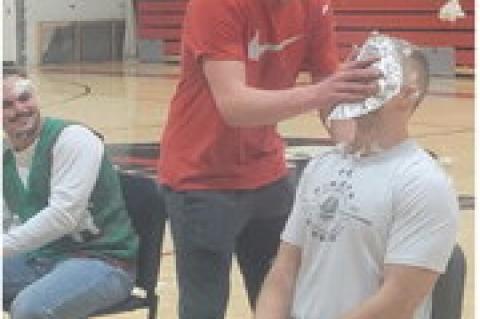 Article Image Alt Text