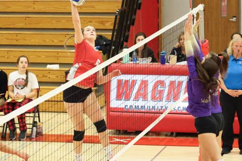 Article Image Alt Text