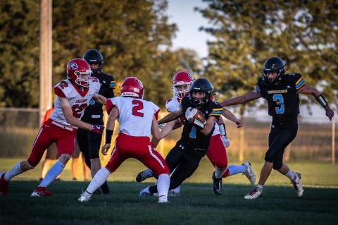 Article Image Alt Text