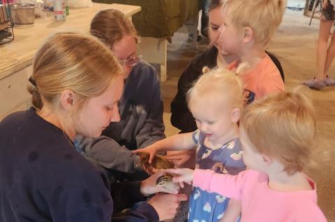 Article Image Alt Text