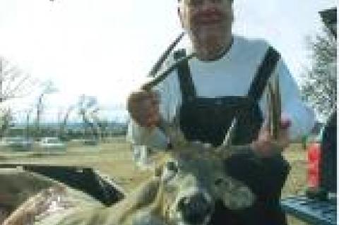 Article Image Alt Text