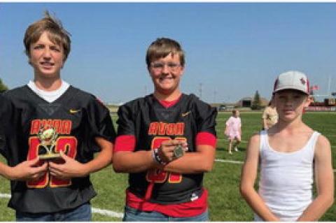 Article Image Alt Text