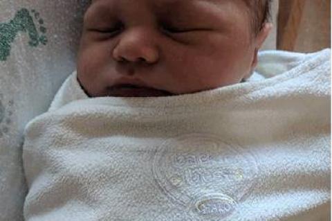 Article Image Alt Text