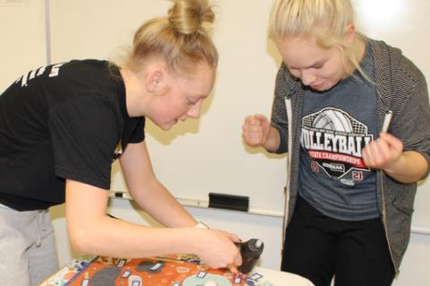 BIOLOGY STUDENTS CREATE CELL PROJECTS