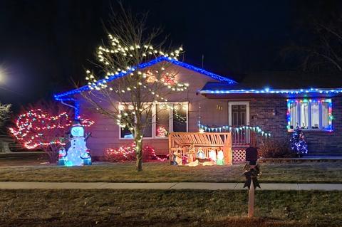 Article Image Alt Text