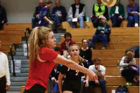 COUGARS TAKE LAST REGULAR SEASON WIN FROM WAGNER