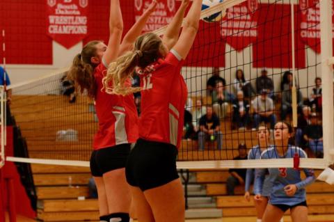 Article Image Alt Text