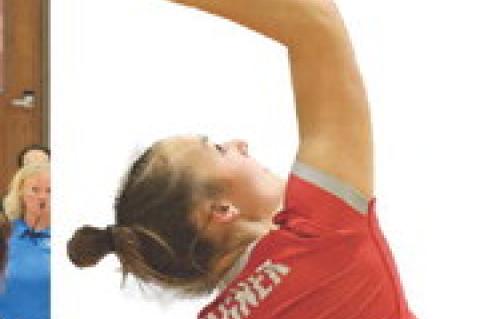 Article Image Alt Text