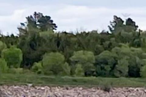 OPEN HOUSE/FREE FISHING WEEKEND