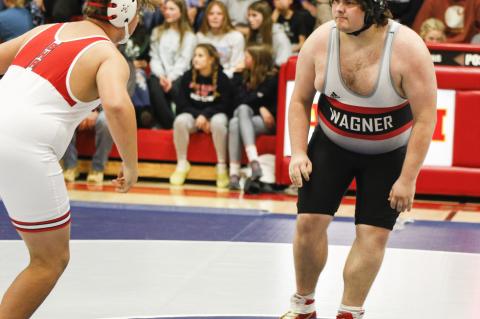 Article Image Alt Text