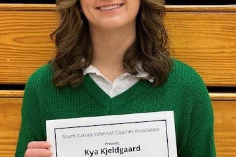 Article Image Alt Text