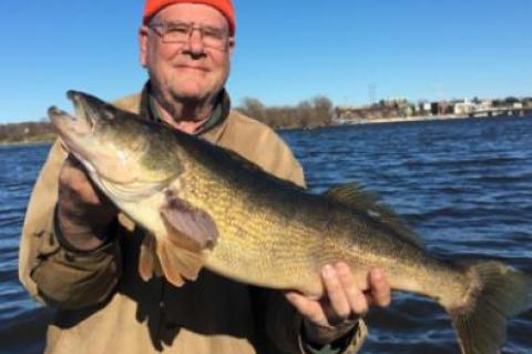 Article Image Alt Text