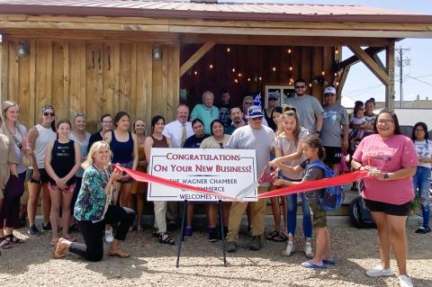 Article Image Alt Text