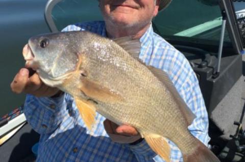 THE RODNEY DANGERFIELD OF THE FISH WORLD