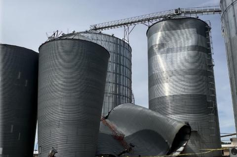 Article Image Alt Text