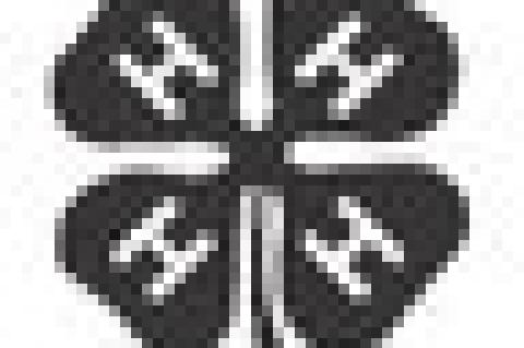 Sweet Clover 4-H Club Meets