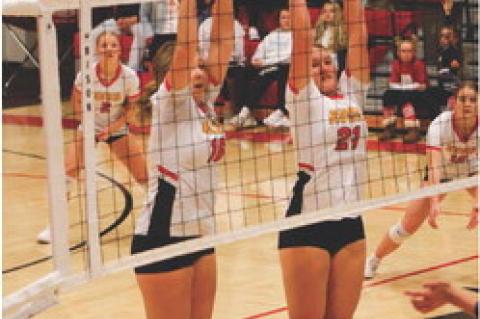 Article Image Alt Text