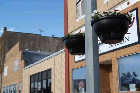 Article Image Alt Text