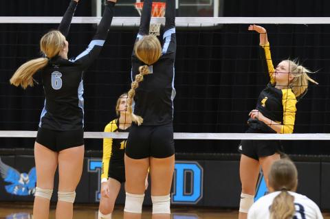 Article Image Alt Text