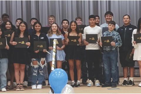 Article Image Alt Text