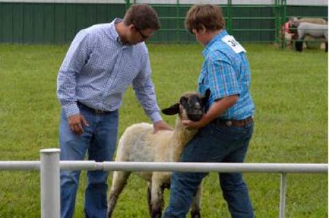 Article Image Alt Text