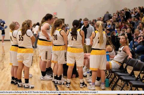 Article Image Alt Text