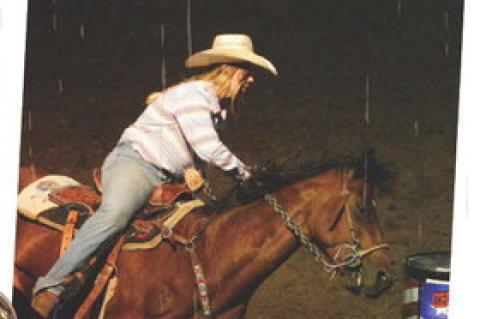 Article Image Alt Text