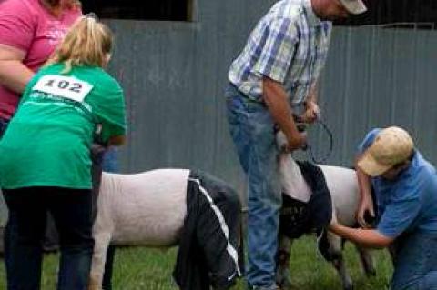 Article Image Alt Text