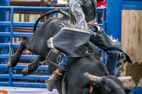 Pictured right: Sam Blaha drew the bull W810 Bet on Black from Mower y &amp; Wimberly. Photos by Tom Plooster
