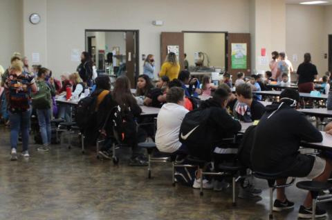 Article Image Alt Text