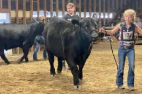 BON HOMME COUNTY 4-H ACHIEVEMENT DAYS