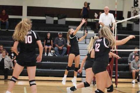 Article Image Alt Text