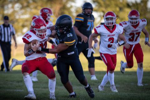 Article Image Alt Text