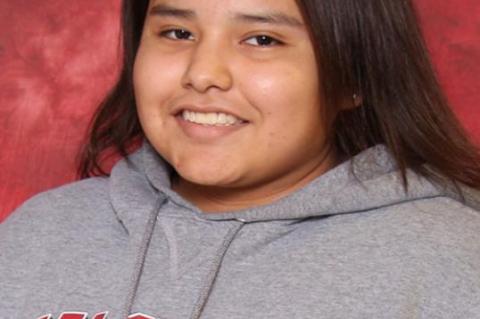 Article Image Alt Text