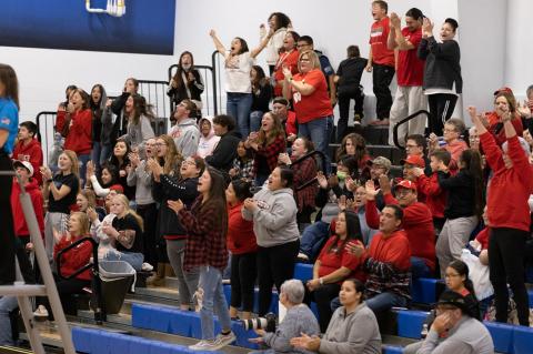 Article Image Alt Text