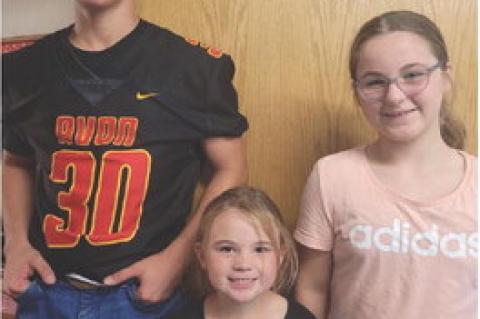 Article Image Alt Text