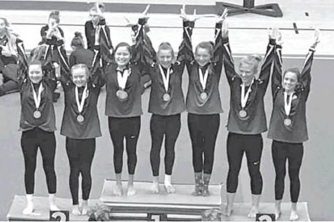 WINTER WONDERLAND TRIANGULAR