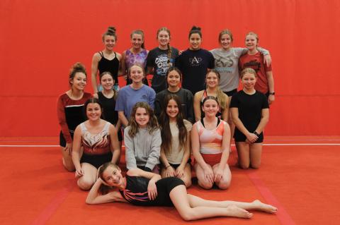 Article Image Alt Text