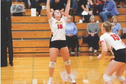 Article Image Alt Text