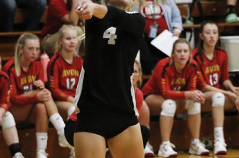 Article Image Alt Text