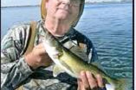 Article Image Alt Text