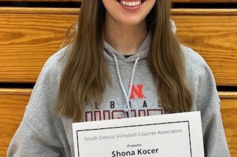 Article Image Alt Text