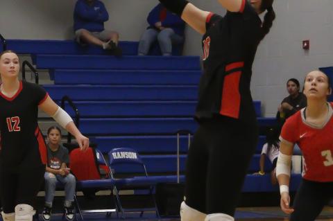 Article Image Alt Text