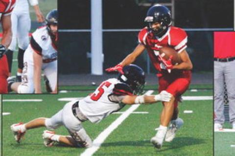 Article Image Alt Text